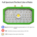 Reemplace el sistema hidropónico Hps 1100W Cob Led Grow Light